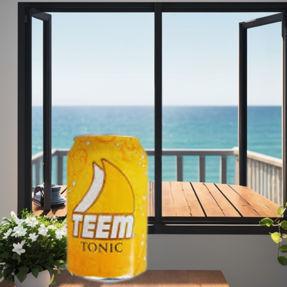 Teem Tonic water can - 24 x 330 ml